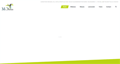 Desktop Screenshot of midanza.nl